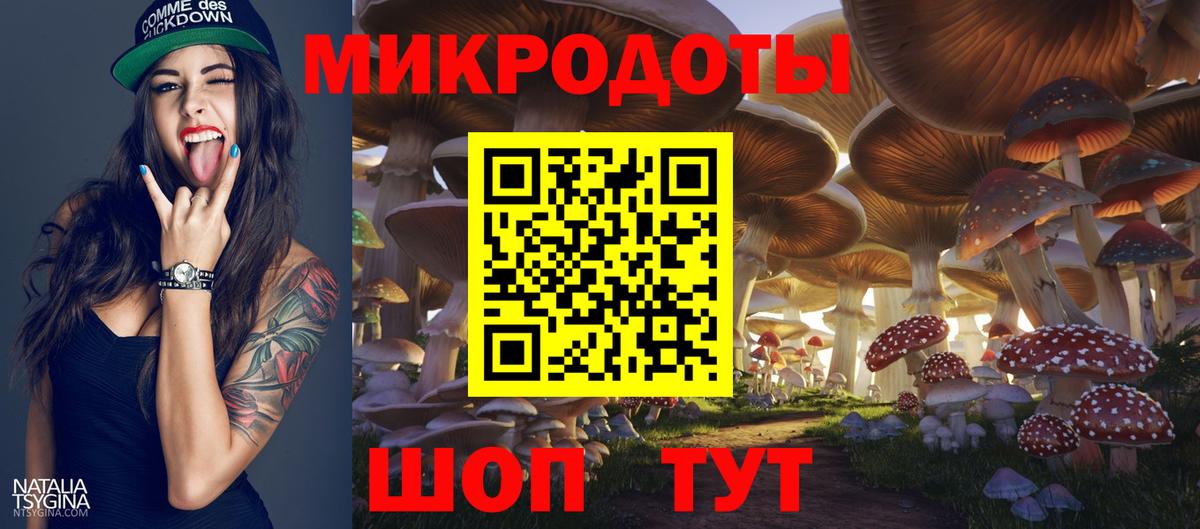 Псилоцибиновые грибы мицелий Лысьва